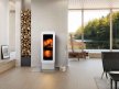 poele  EVO Bionic Fire bionic-fire.jpg